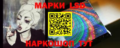 дмт Кингисепп