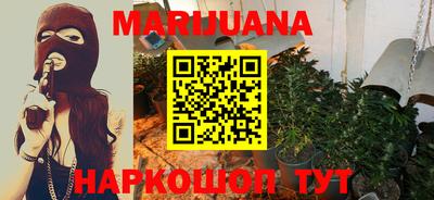 дмт Кингисепп