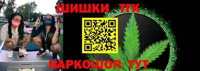 дмт Кингисепп