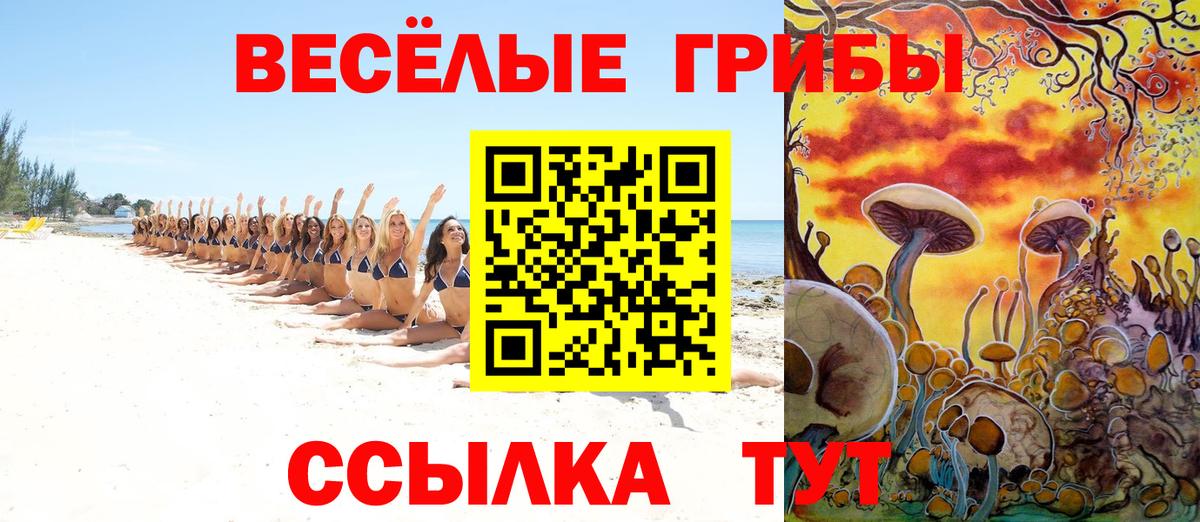Галлюциногенные грибы Psilocybe  Псилоцибиновые грибы Psilocybine cubensis  Вход с VPN  Бирск 